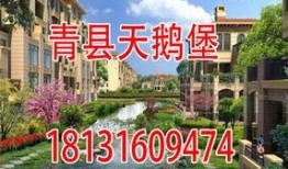 青县爆料最新情况最近,突发事件引发关注，真相即将揭晓！